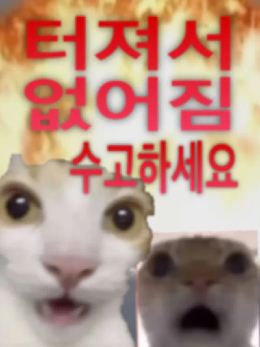 놀란 고양이 얼굴 위에 터져서 없어짐 수고하세요라는 문구가 적힌 밈